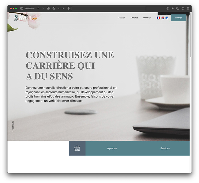 Image page d'accueil Internationalcareers